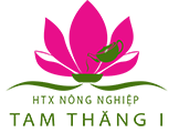 Trà Sen Sông Đầm
